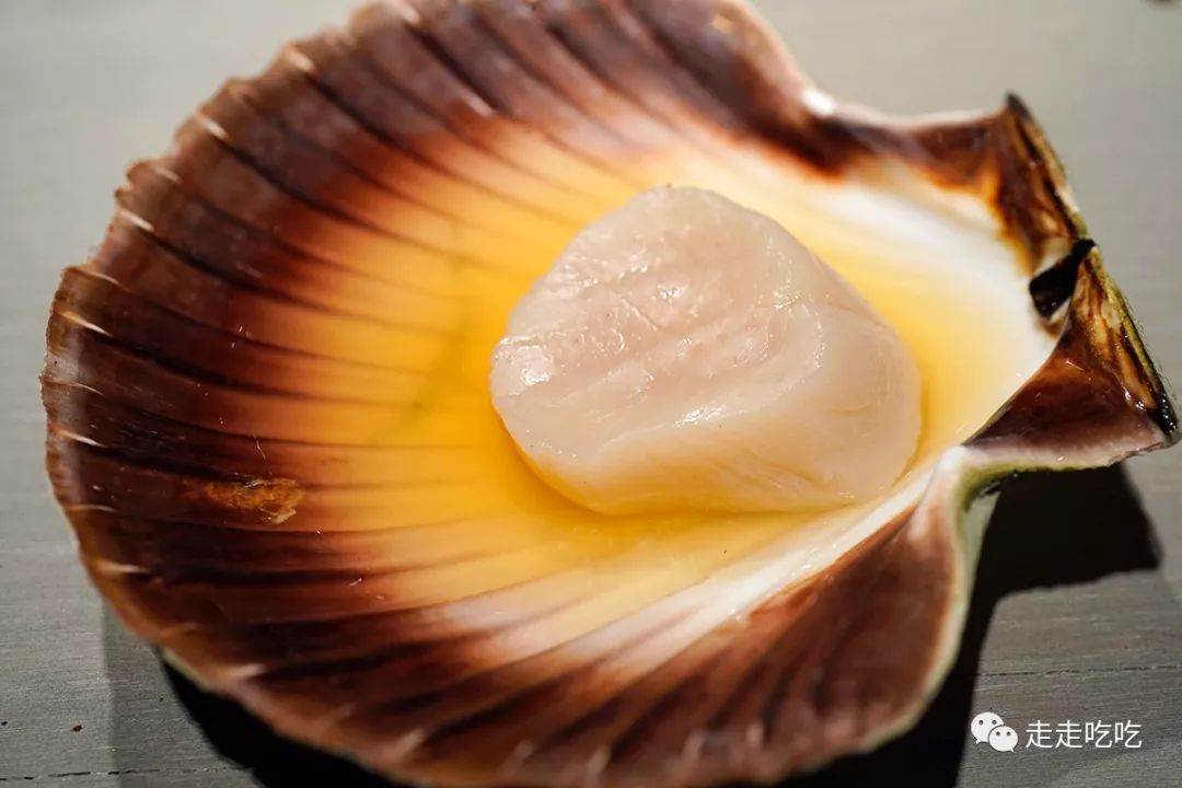 又是一年温故知新时｜走走吃吃的2019-下篇