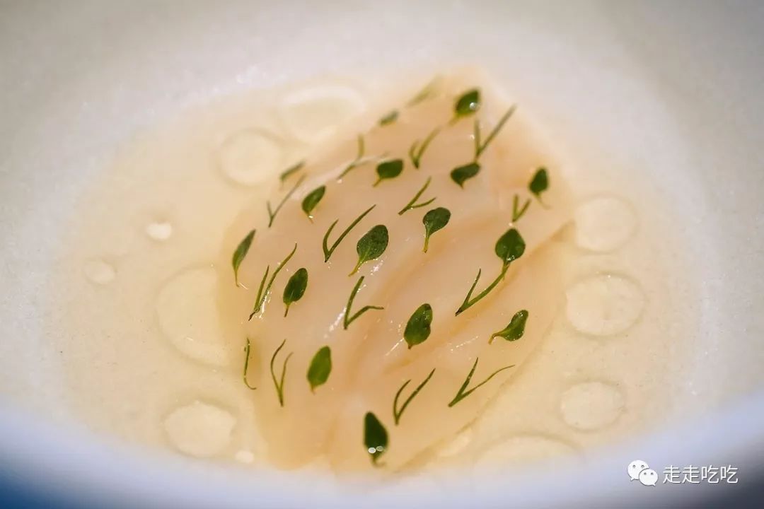 又是一年温故知新时｜走走吃吃的2019-下篇