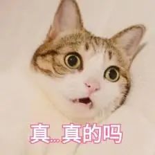 年近70的丈夫为美容疯狂花掉576万,70岁老人为美容疯狂花576万