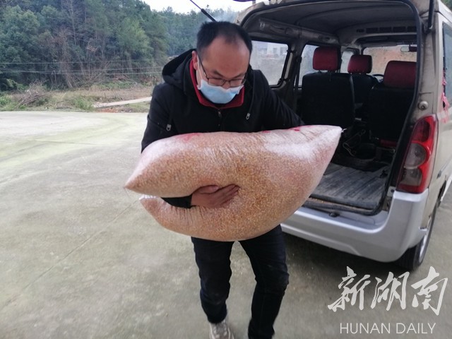 湘乡贫困户土鸡,湘乡市养鸡