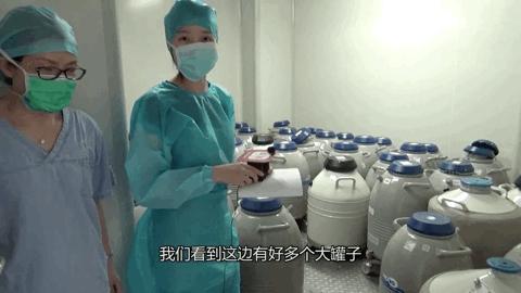 32岁没结婚女士博主,32岁没结婚无娃的女博主