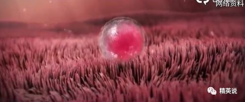 32岁没结婚女士博主,32岁没结婚无娃的女博主