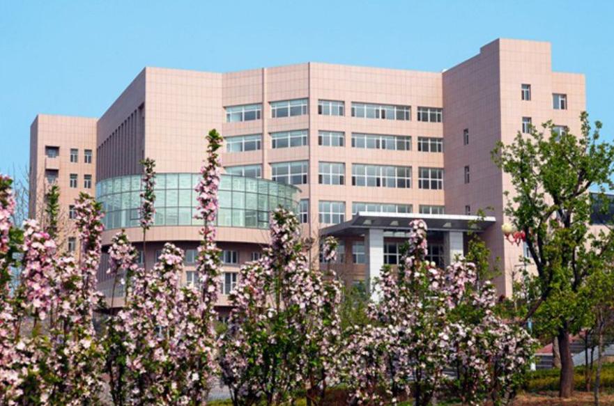 山东省高校招聘引进政策,2020年山东理工大学人才引进招聘