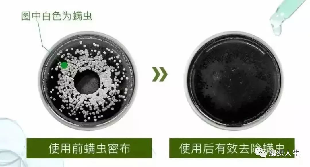 德国老太太用什么洗发水,93岁德国老太太