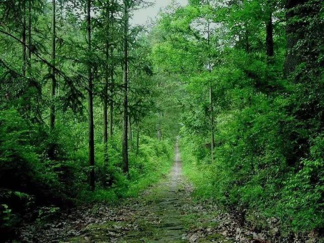 云和山什么意思,云和山是什么意思