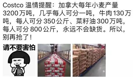 纽约costco厕纸,costco的厕纸