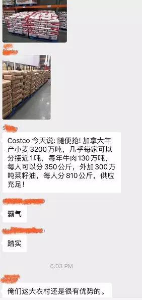 纽约costco厕纸,costco的厕纸