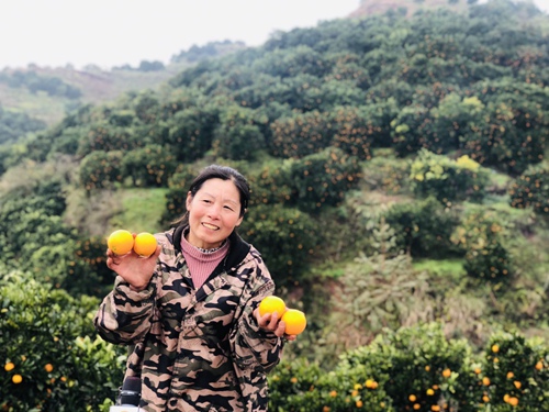 京东财报最新股价,京东财报板块分析