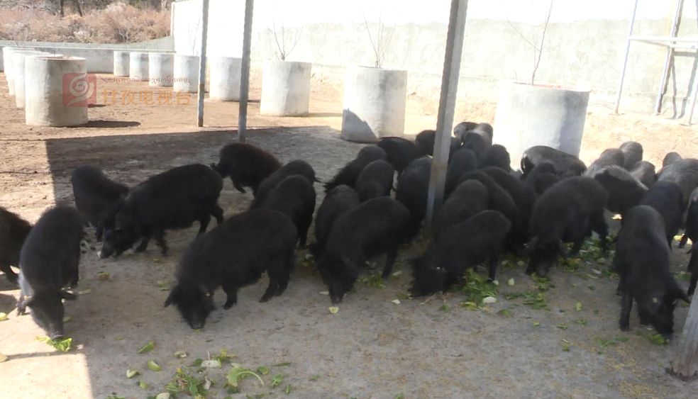 复工防疫两不误，我州各地加足马力“搞生产”