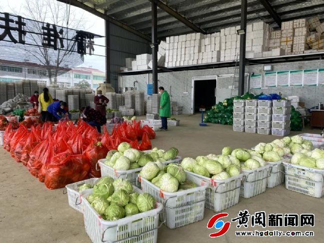 被“封”黄冈的记者，留守家乡直播告诉你：老区农民战“疫”多不易……