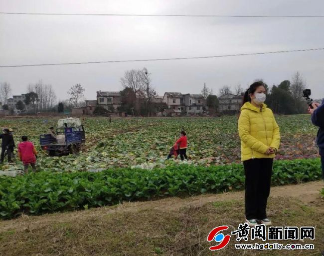 被“封”黄冈的记者，留守家乡直播告诉你：老区农民战“疫”多不易……