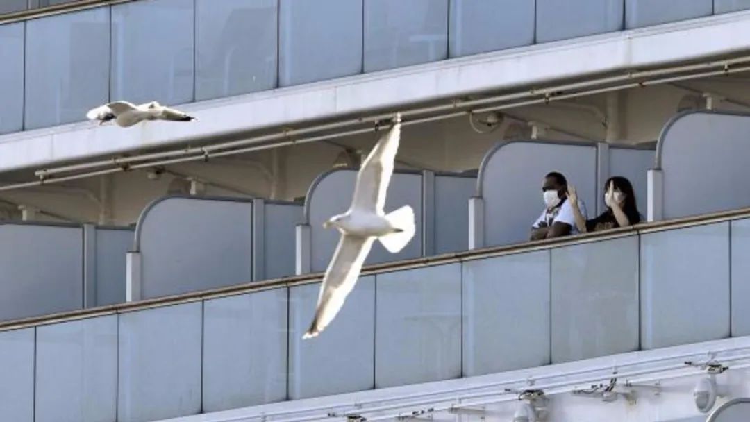 秦朔沈沫,秦朔谈精致女孩