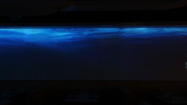 最想吃的店提前打烊了搞笑版,期待很好吃的店开业