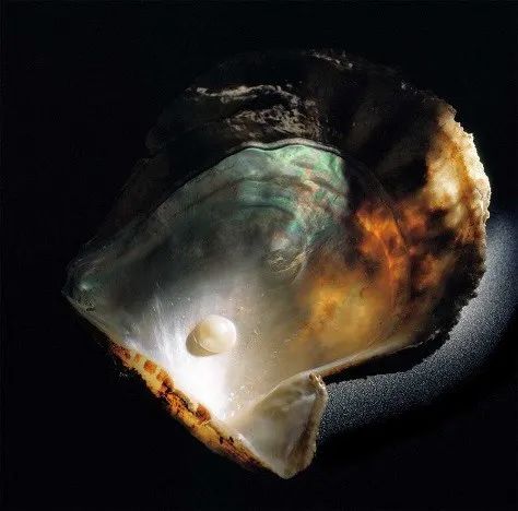 这次COMMEdesGARÇONS的珍珠项链,你会砸下重金吗?