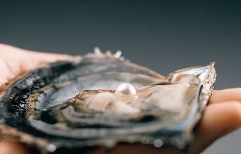 这次COMMEdesGARÇONS的珍珠项链,你会砸下重金吗?