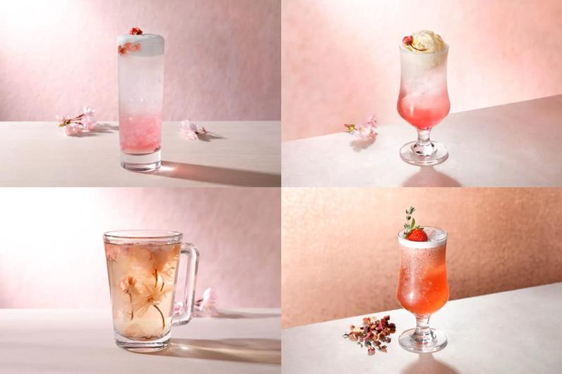 樱花纷飞的时候图片,樱花纷飞时的校园