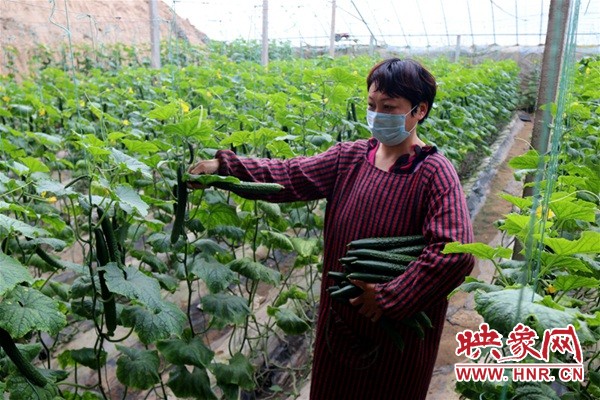 战疫情添新绿活动简报,春耕战疫的图片