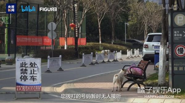 以前上过热搜的名字,哪些没有名字的热搜