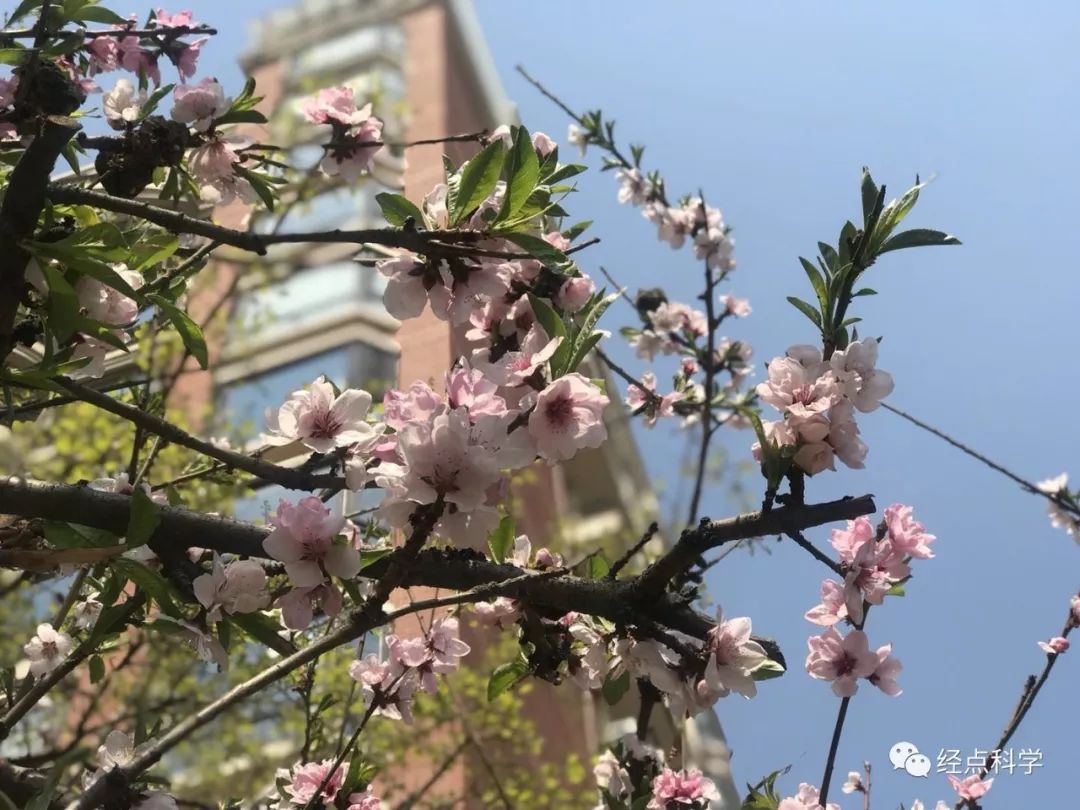 疫期宅家,高血压患者可以这样做运动