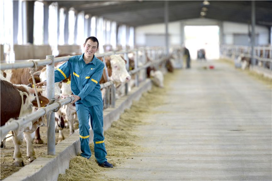 宁夏海原县脱贫摘帽的时间,海原县2017移民搬迁