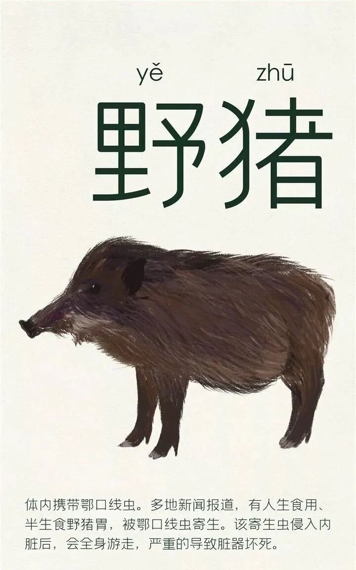 人工养殖什么野味不违法,人工养殖野味的危害