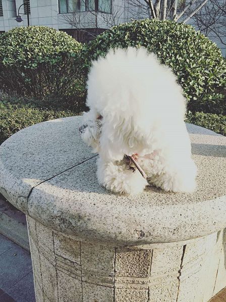 微信朋友圈38条,疫情下的38度朋友圈