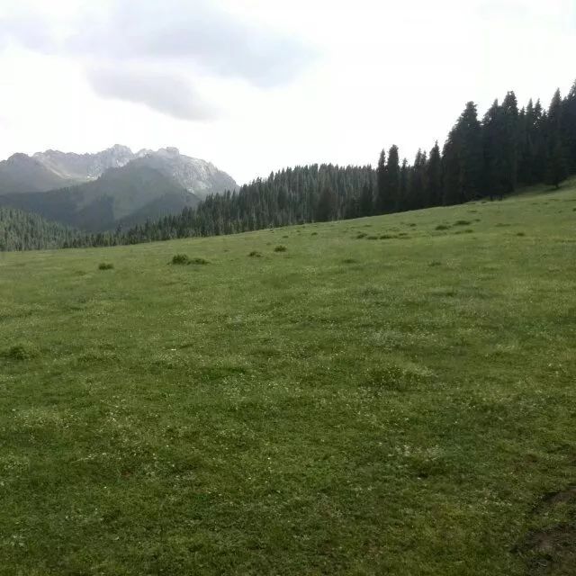 微信朋友圈38条,疫情下的38度朋友圈