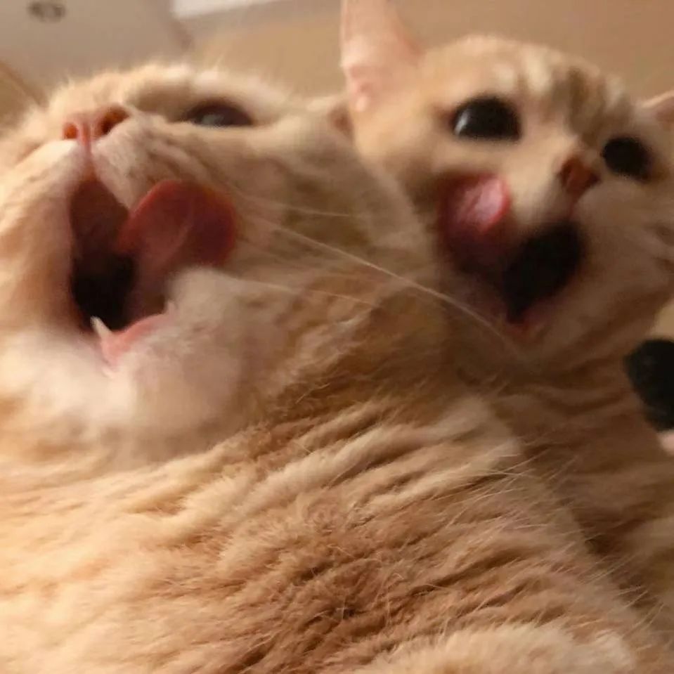 微信朋友圈38条,疫情下的38度朋友圈