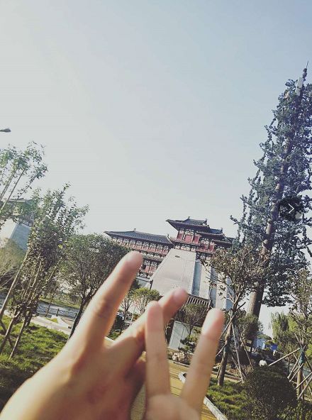 微信朋友圈38条,疫情下的38度朋友圈