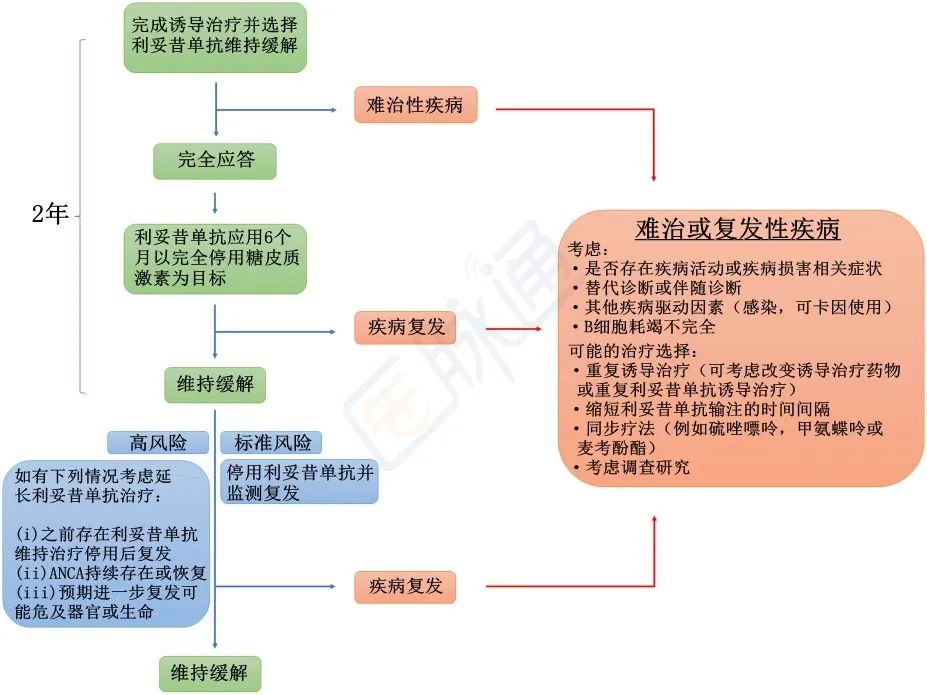 利妥昔单抗联合治疗,利妥昔治疗anca相关性血管炎