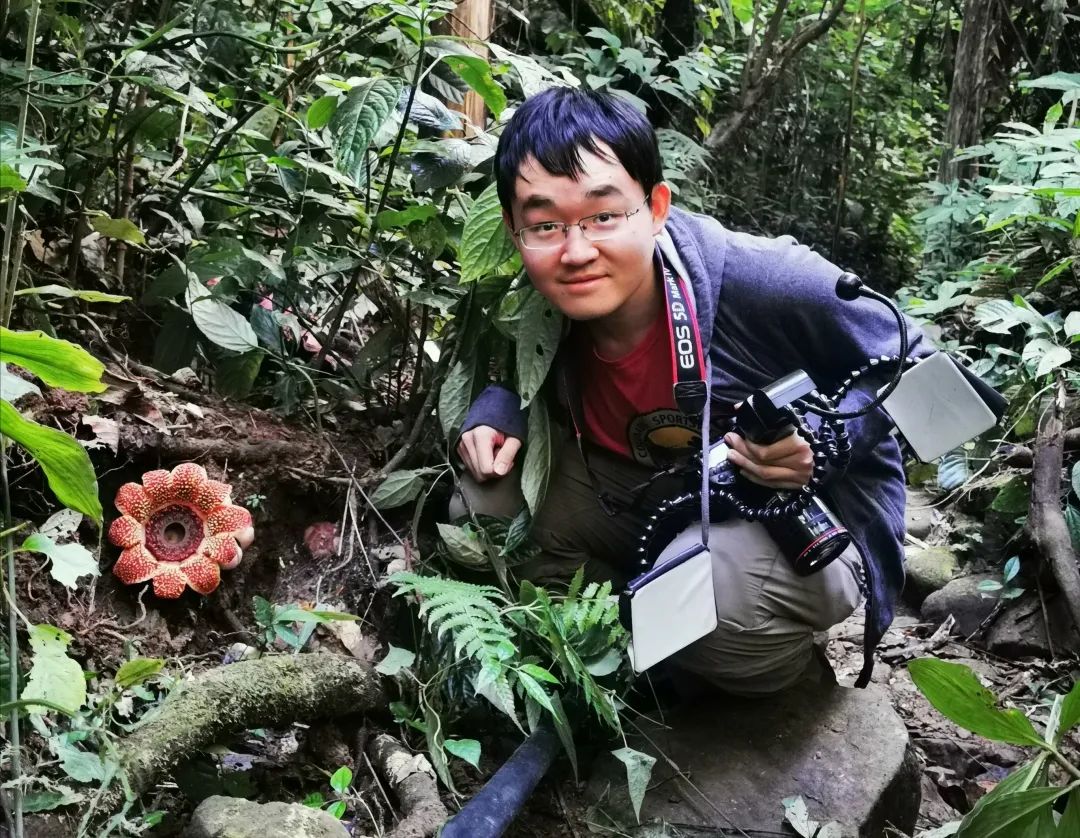 薰衣草：我把虫子都熏跑了，没想到你们竟然想泡我