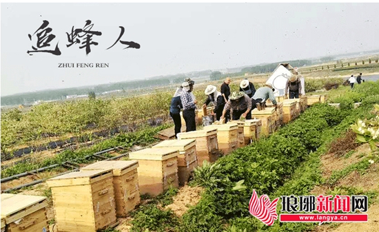 临沂哪里可以买到真蜂蜜,临沂哪里能买到靠谱的蜂蜜