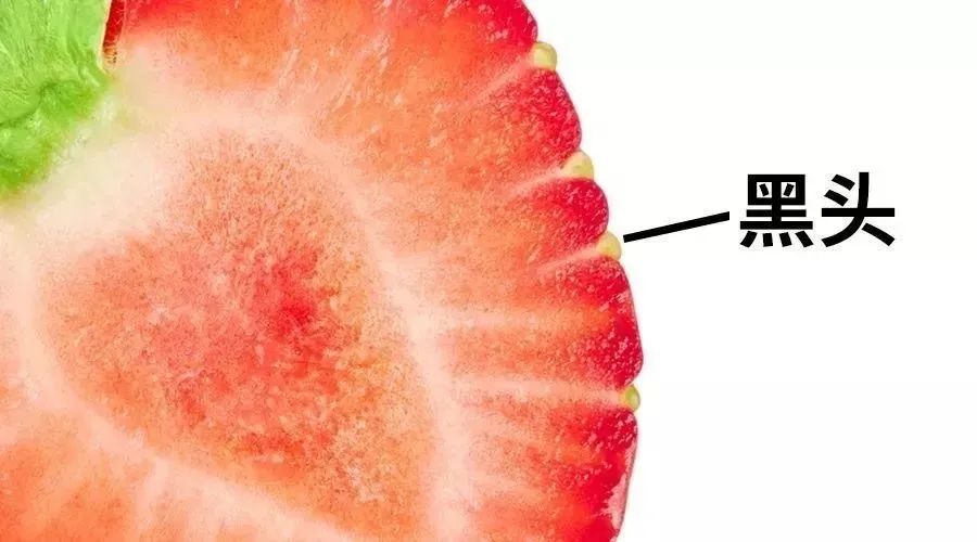 黑头大作战如何有效去除黑头,黑头贴可以消除毛孔粗大吗