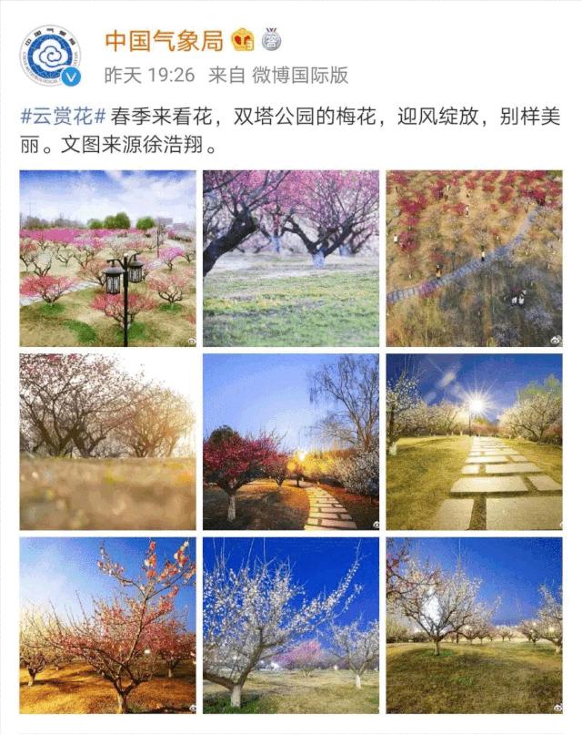 藏在诗词里的诗词,藏在古人诗词里的三春