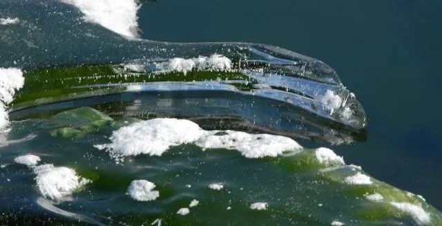 藏在诗词里的诗词,藏在古人诗词里的三春