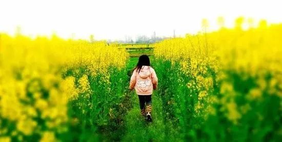 藏在诗词里的诗词,藏在古人诗词里的三春