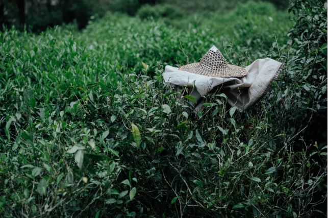 爱吃星球|就拿这些停下来的时间，来准备一份盲盒