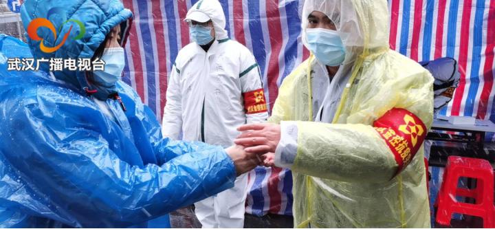 战疫中的玫瑰图片,战疫玫瑰疫展芳华