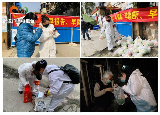 战疫中的玫瑰图片,战疫玫瑰疫展芳华