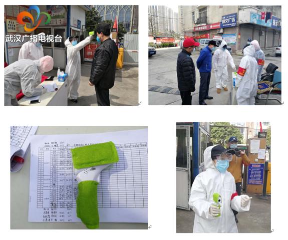 战疫中的玫瑰图片,战疫玫瑰疫展芳华