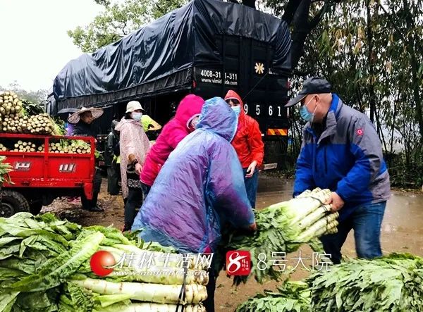 桂林市新型冠状病毒最新消息,新冠病毒广西