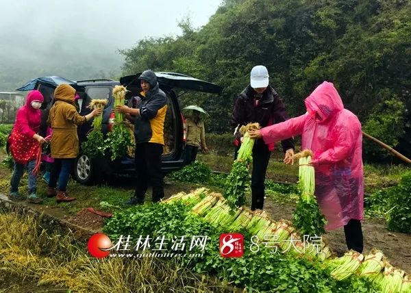 桂林市新型冠状病毒最新消息,新冠病毒广西