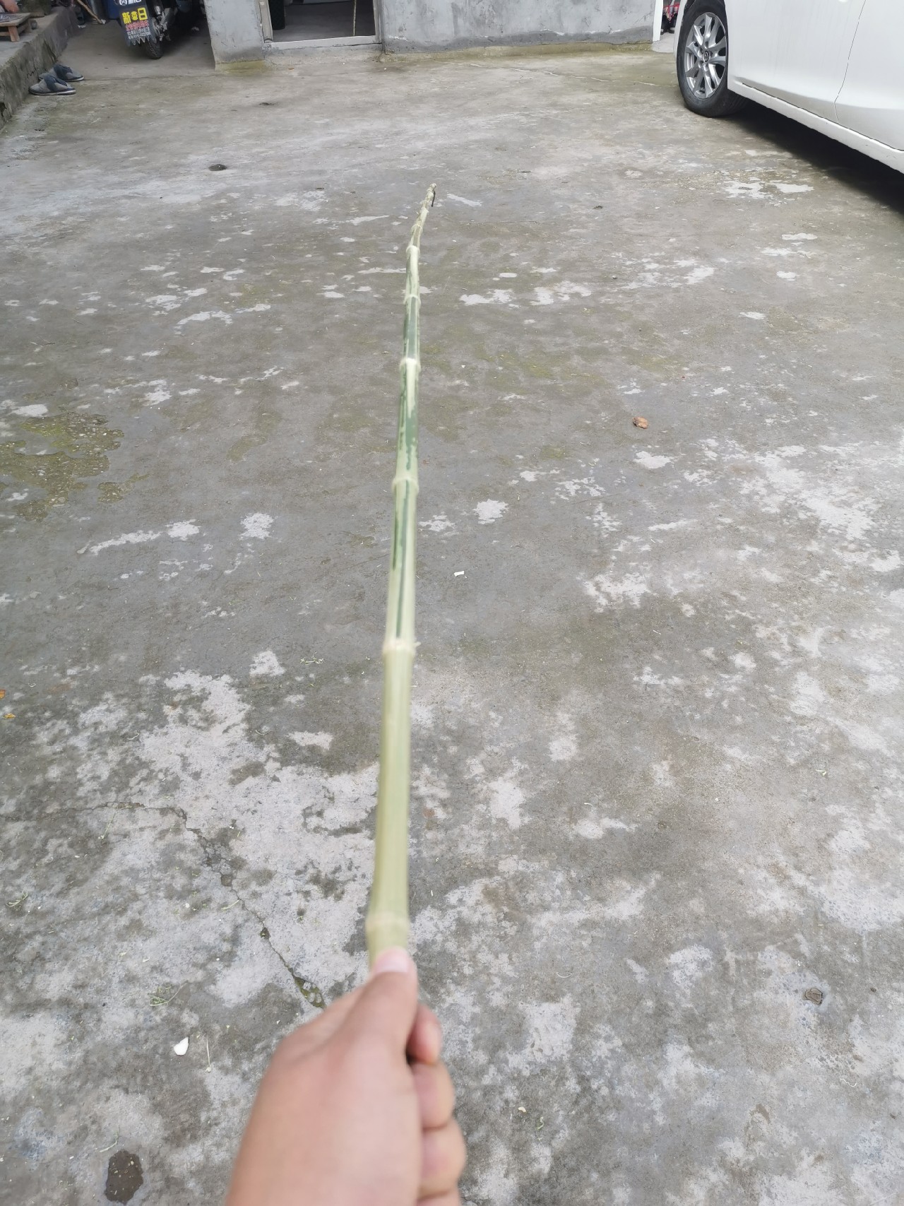 钓到大鱼正确的溜鱼法,钓到大鱼怎么遛鱼正确