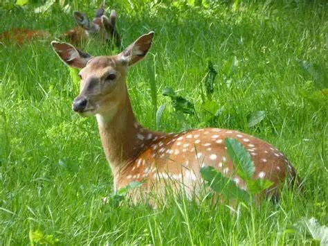 养殖户的权益谁来保障,养殖户法律保护