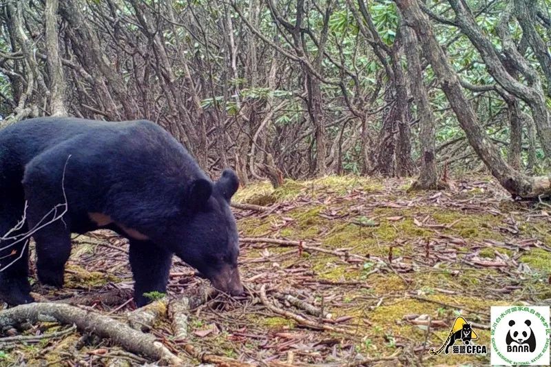 养殖户的权益谁来保障,养殖户法律保护