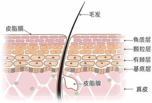 一天洗手十几次正常吗,一天洗手几十次