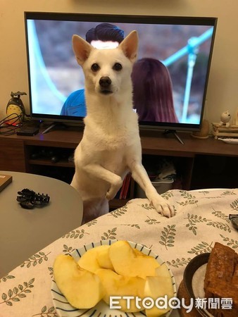 偷吃贵妃香嫩鸡爪,偷吃鸡下跪求饶视频