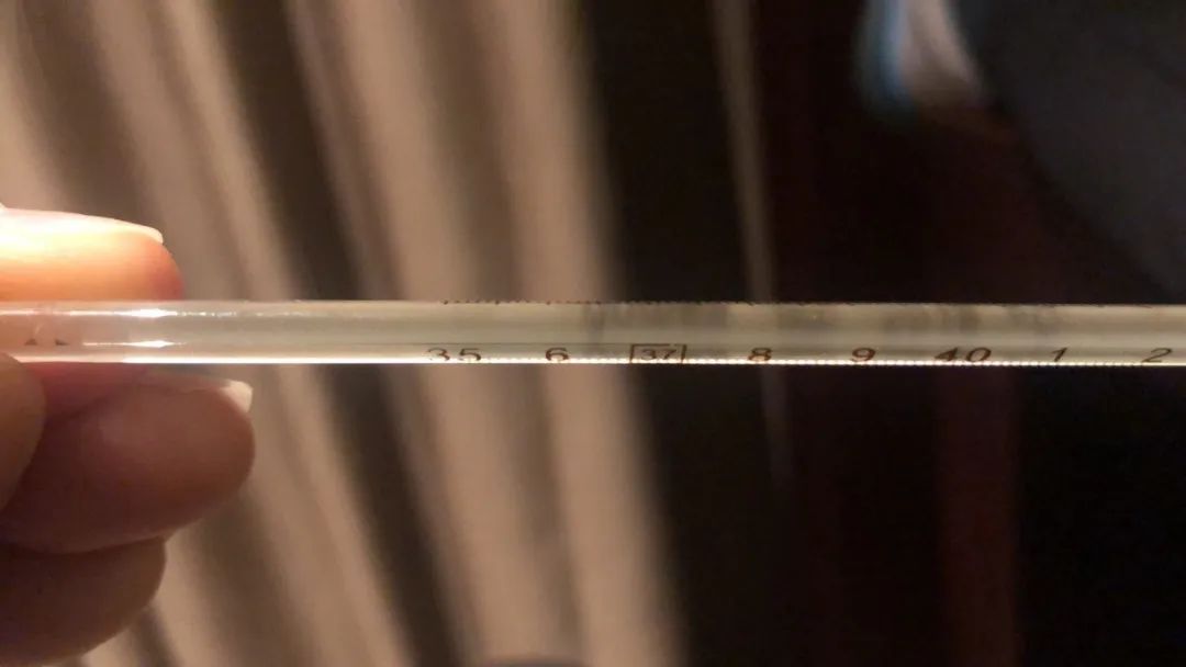 疫线手记在哪里,疫线日记100字