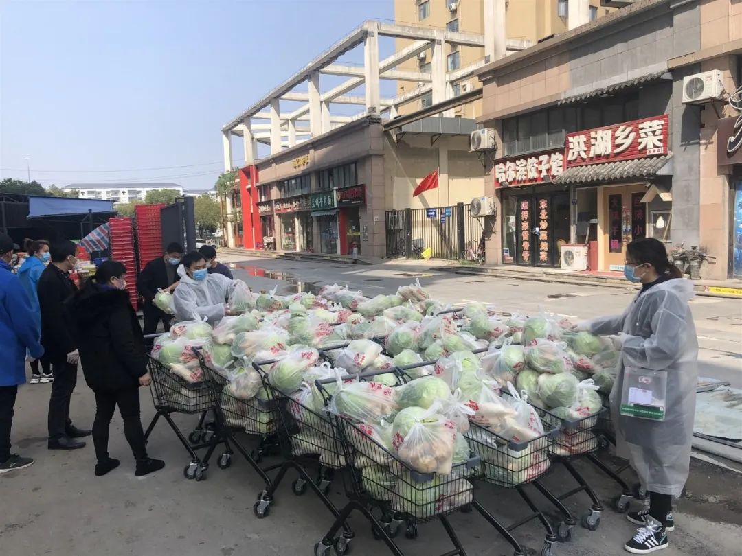 疫线手记在哪里,疫线日记100字