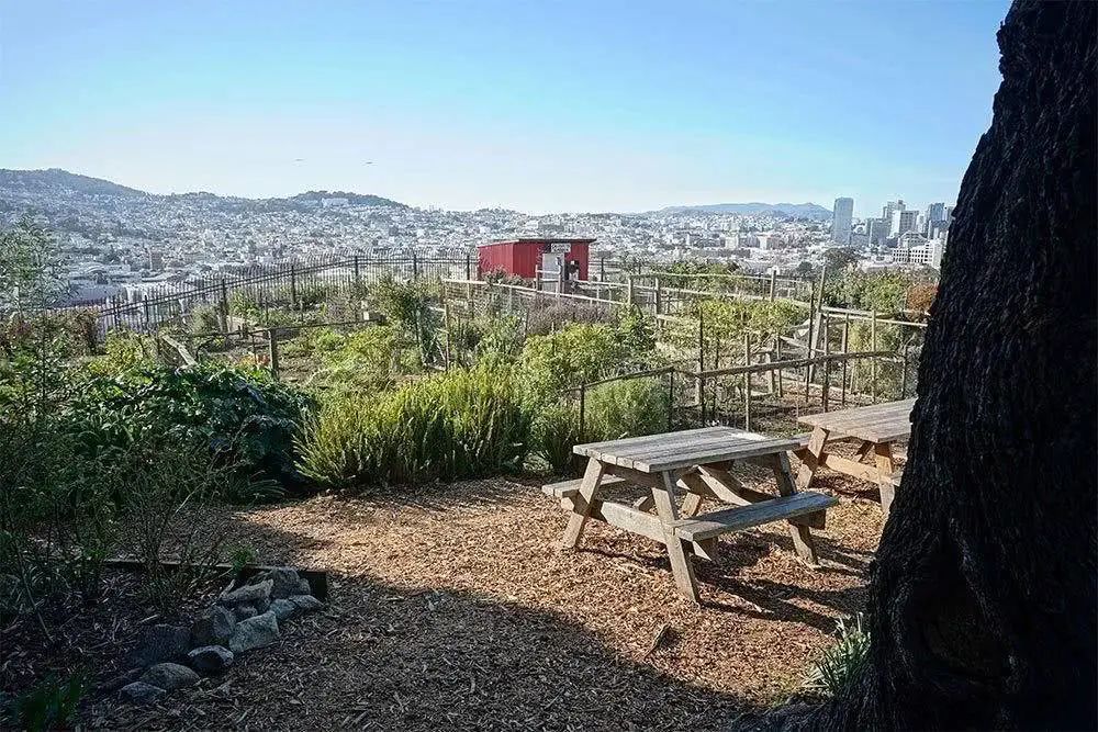 三星s20ultra相机清晰度,三星s20ultra影像